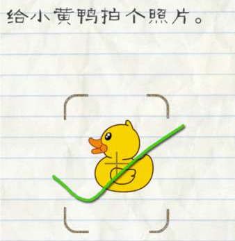 《Ave mujica》第 7 集中日观众评价差异大吗?
